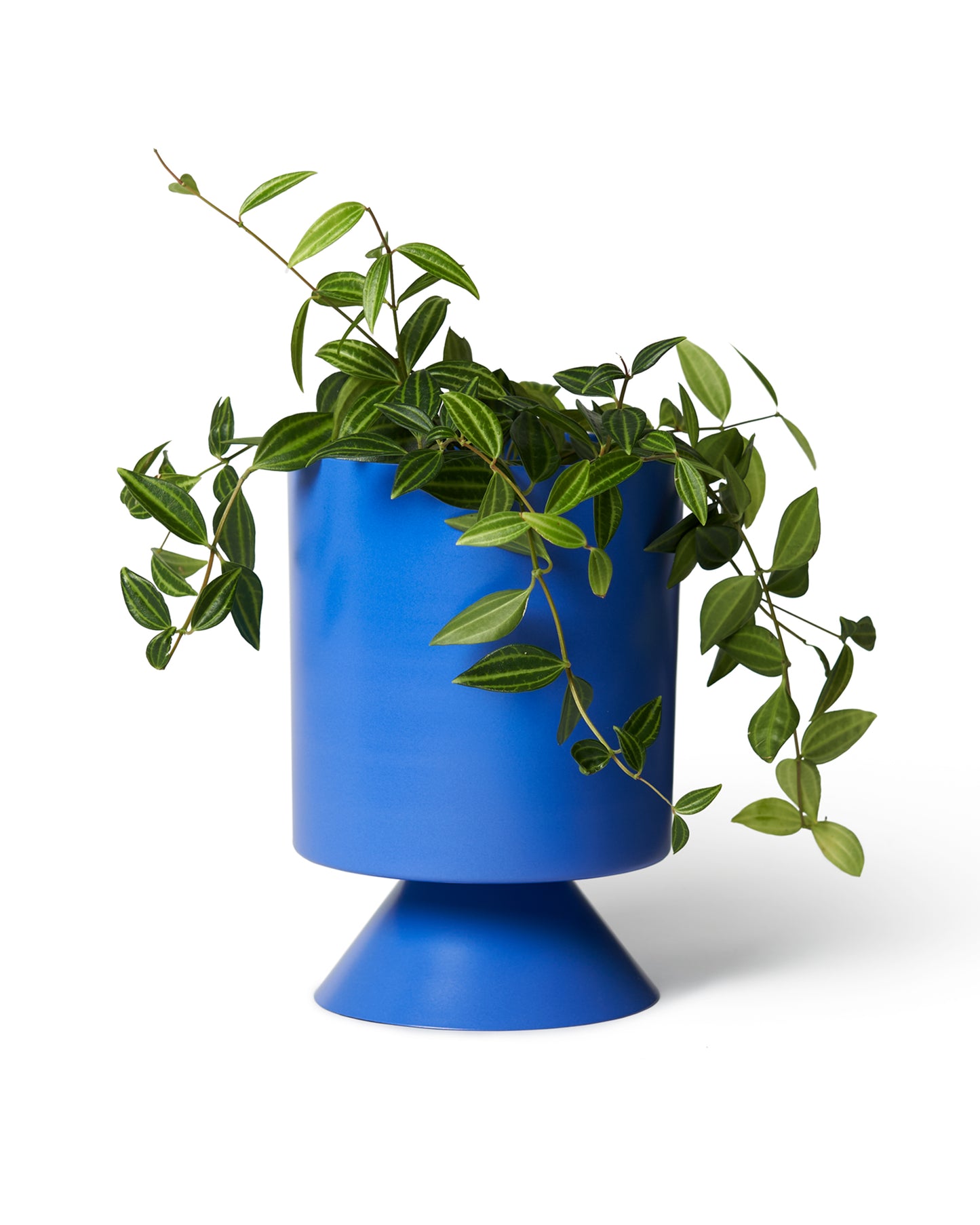 Kleins Blue Palm Springs Planter Small