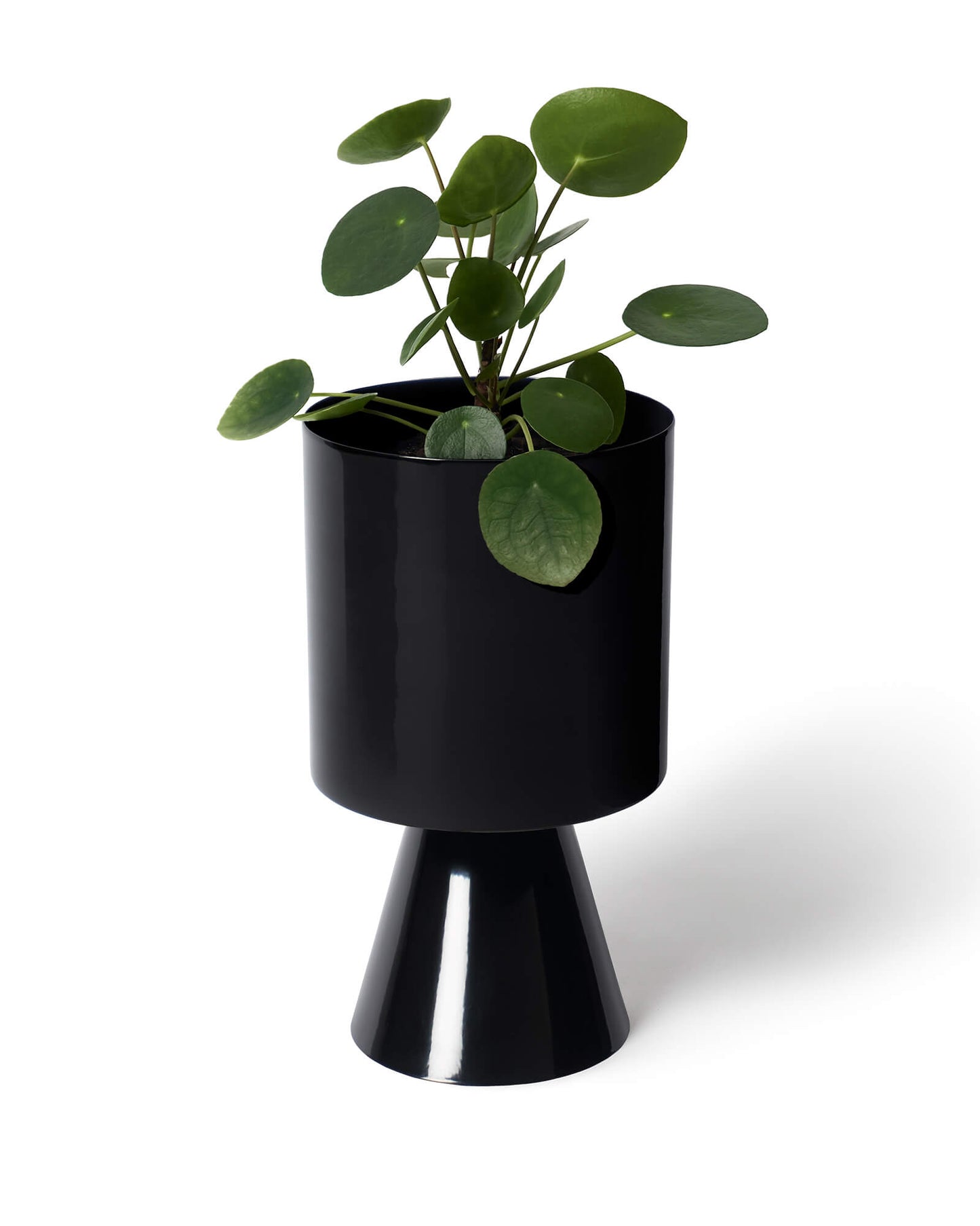Black Palm Springs Planter Medium