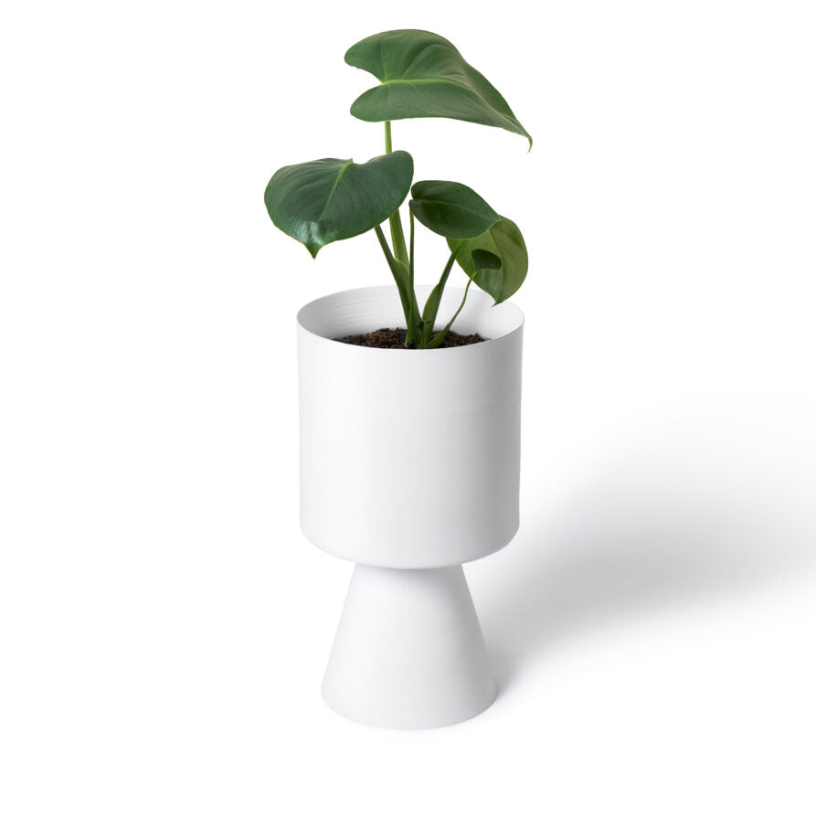 White Palm Springs Planter Medium