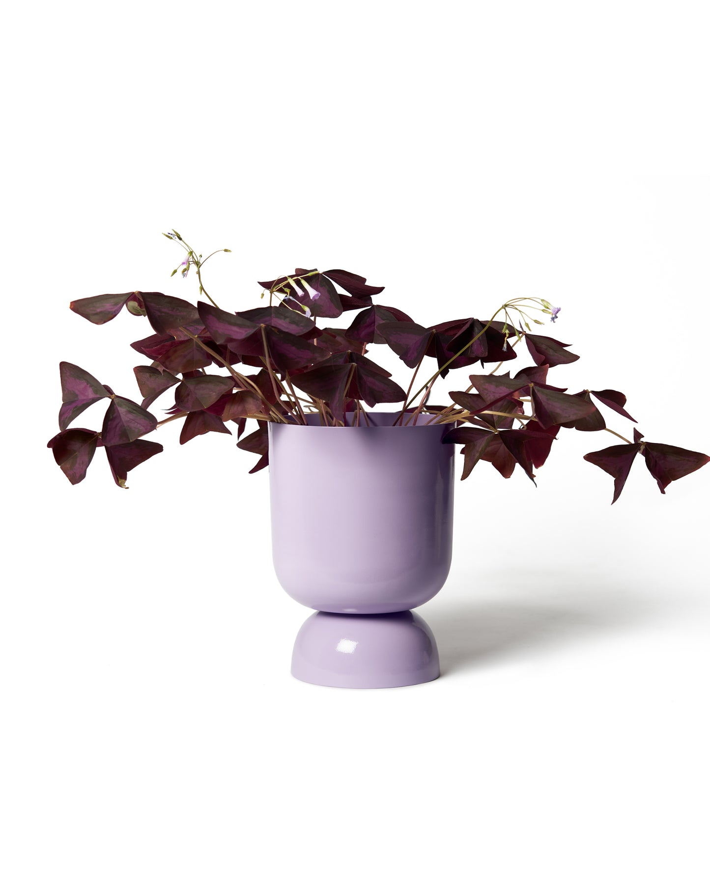 Goblet Planter lilac - Small