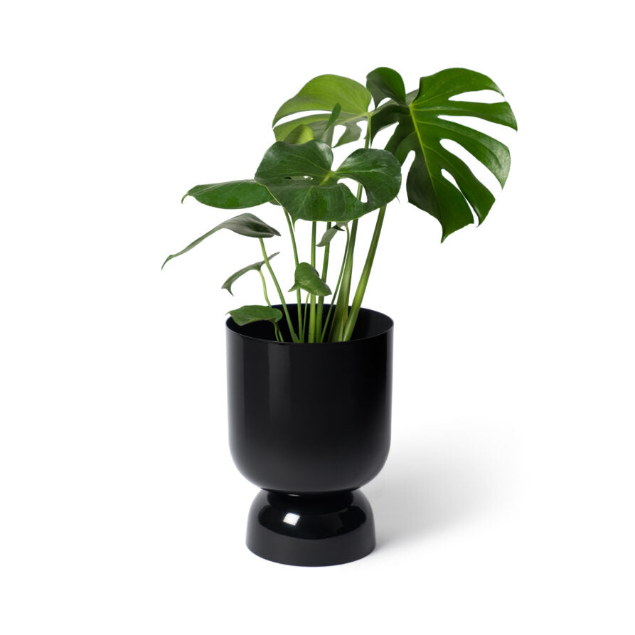 Goblet Planter Black - Small