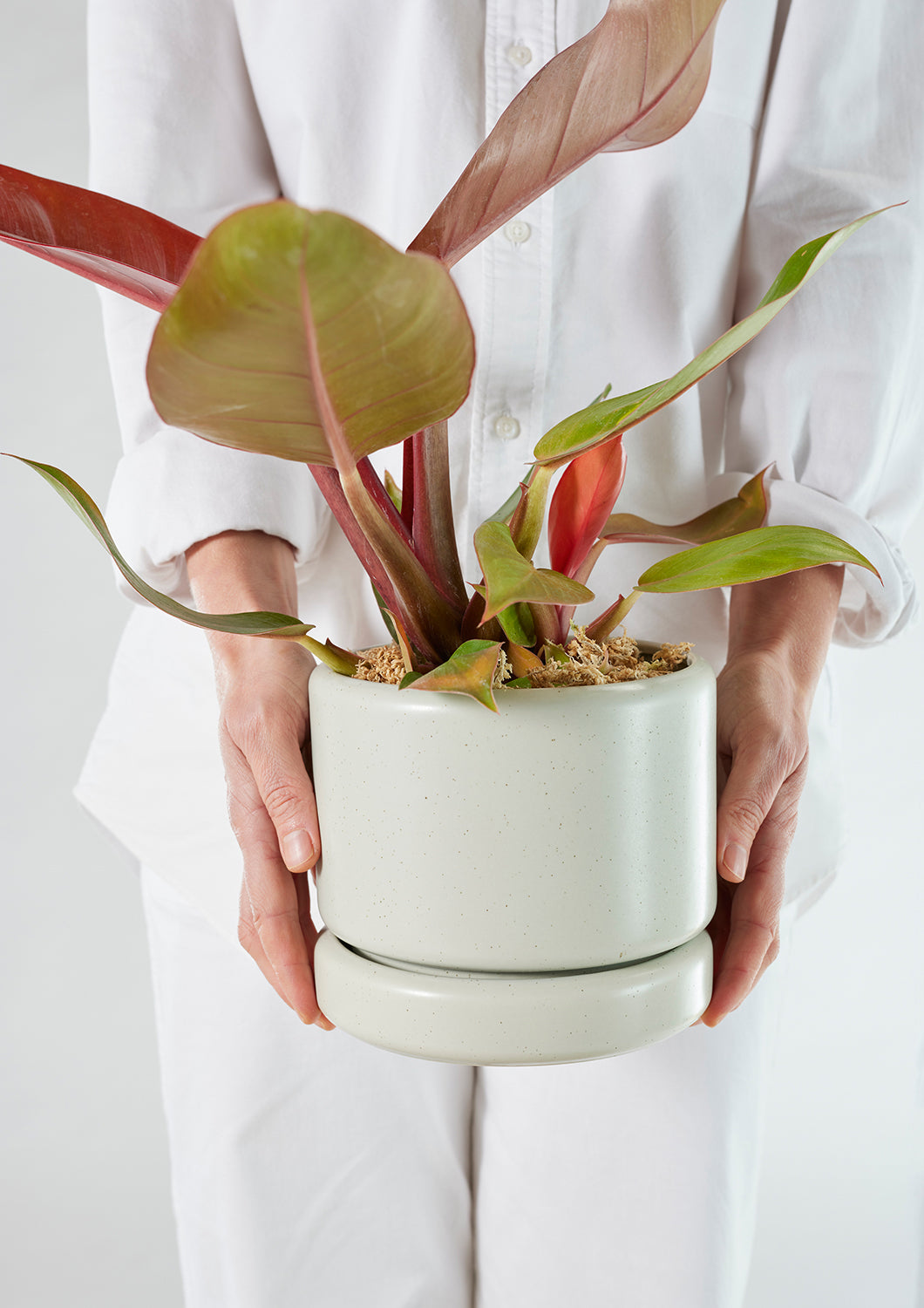 Pale Green Eggshell Cylinder Planter Small