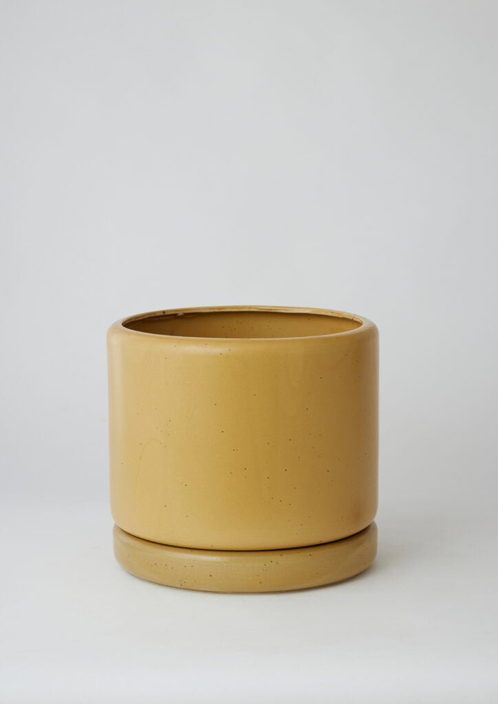 Honey Cylinder Planter Small