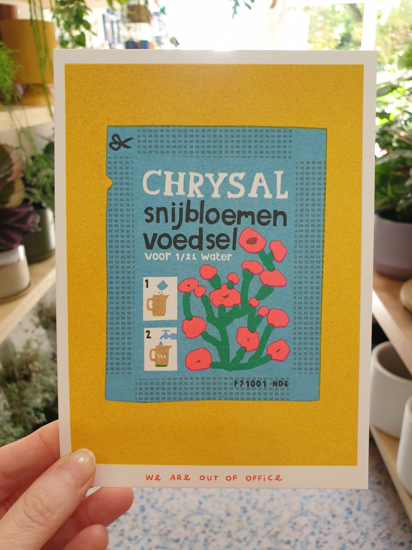 'A sachet of flower food' -  risograph print.