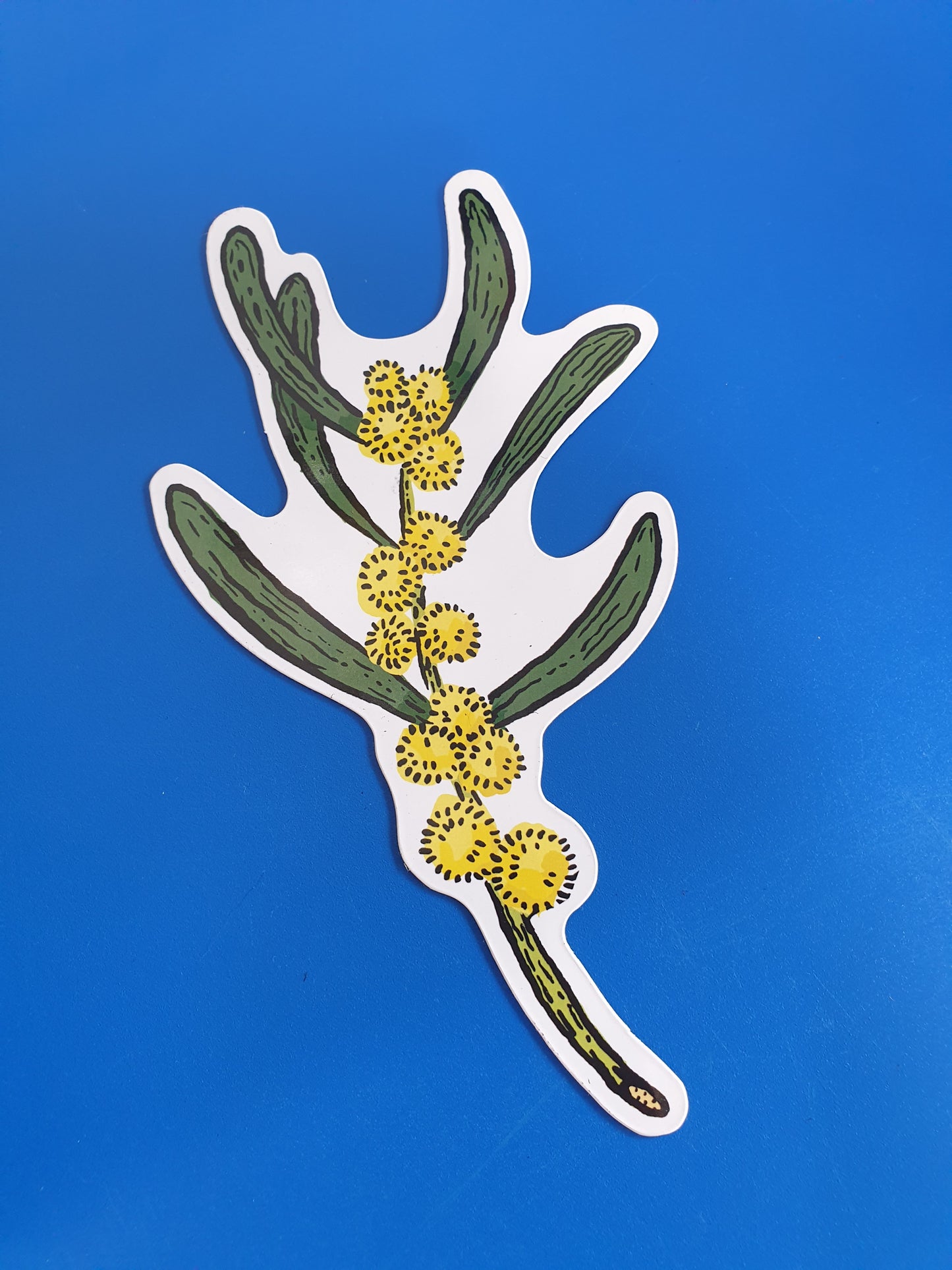 Wattle - Fridge Magnet