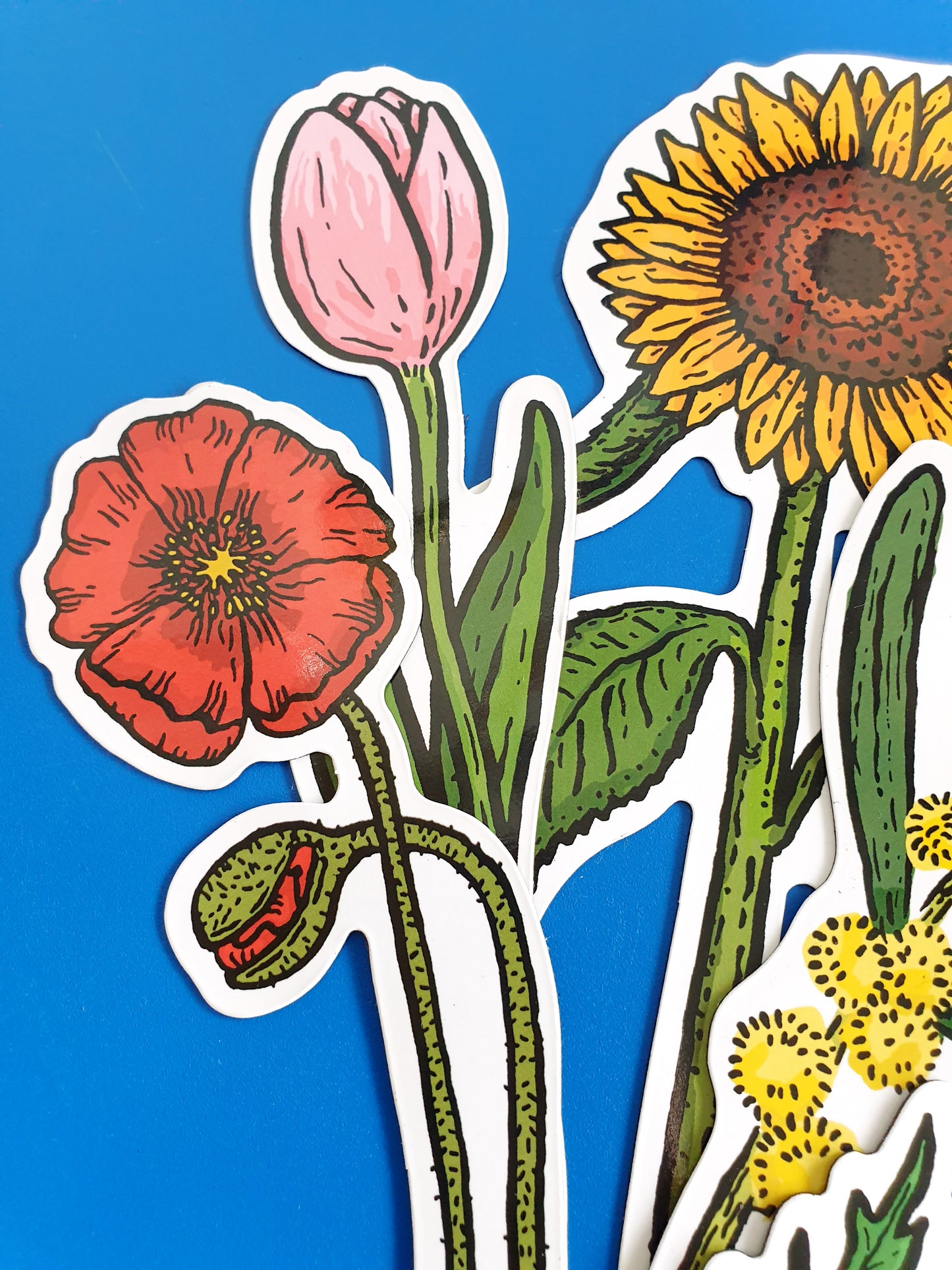 Poppy - Fridge Magnet