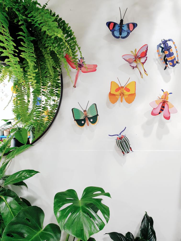 Gold Rim Wall Butterfly