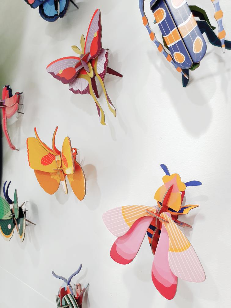 Gold Rim Wall Butterfly