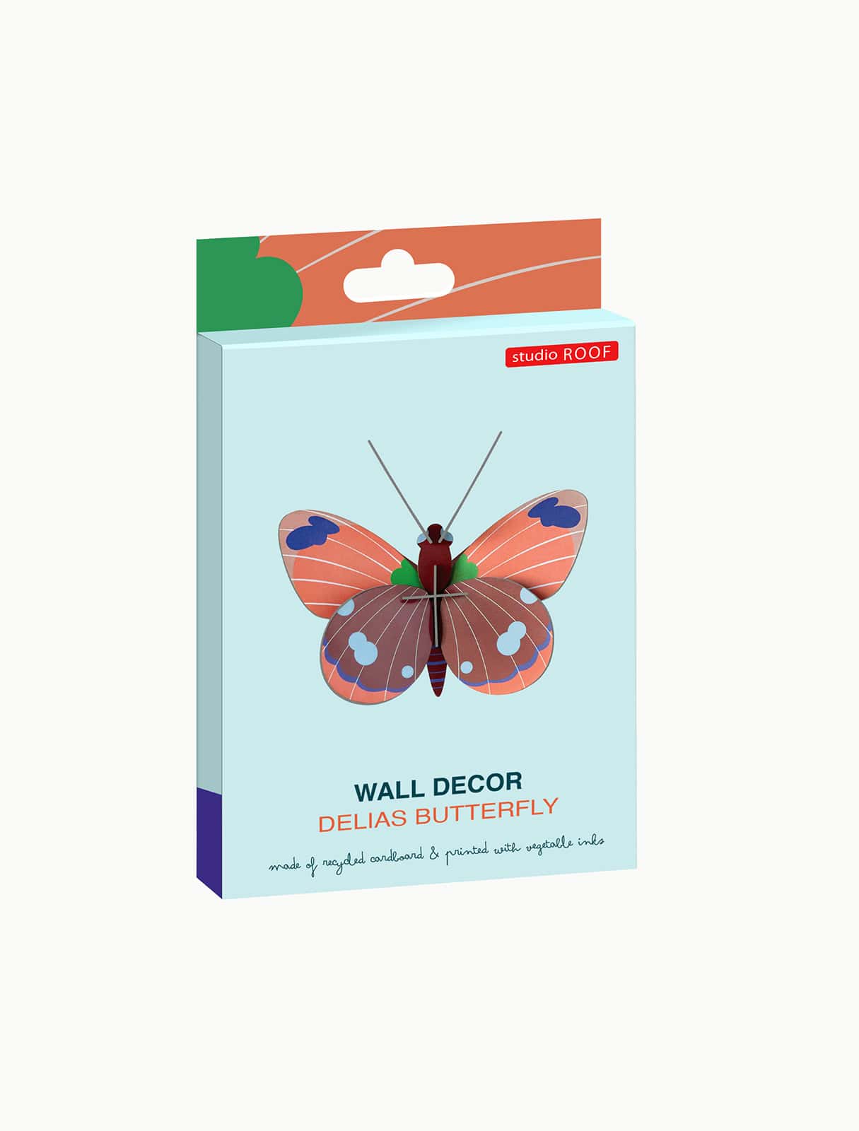 Delias Wall Butterfly