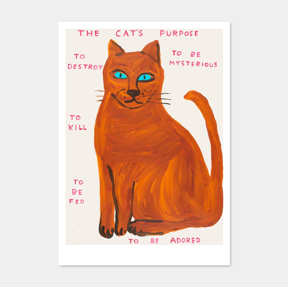 'The cat's purpose' - A5 postcard