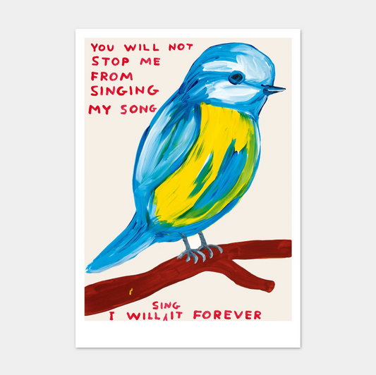 'You will not stop me from singing my song' - A5 postcard