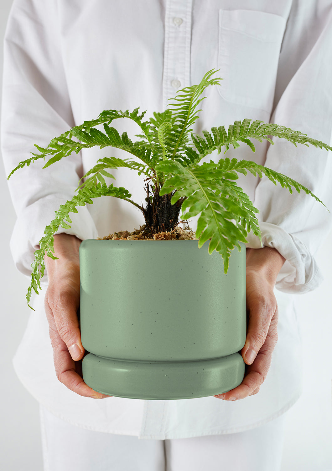 Dark Sage Green Cylinder Planter Small