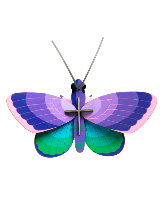 Blue Copper Wall Butterfly