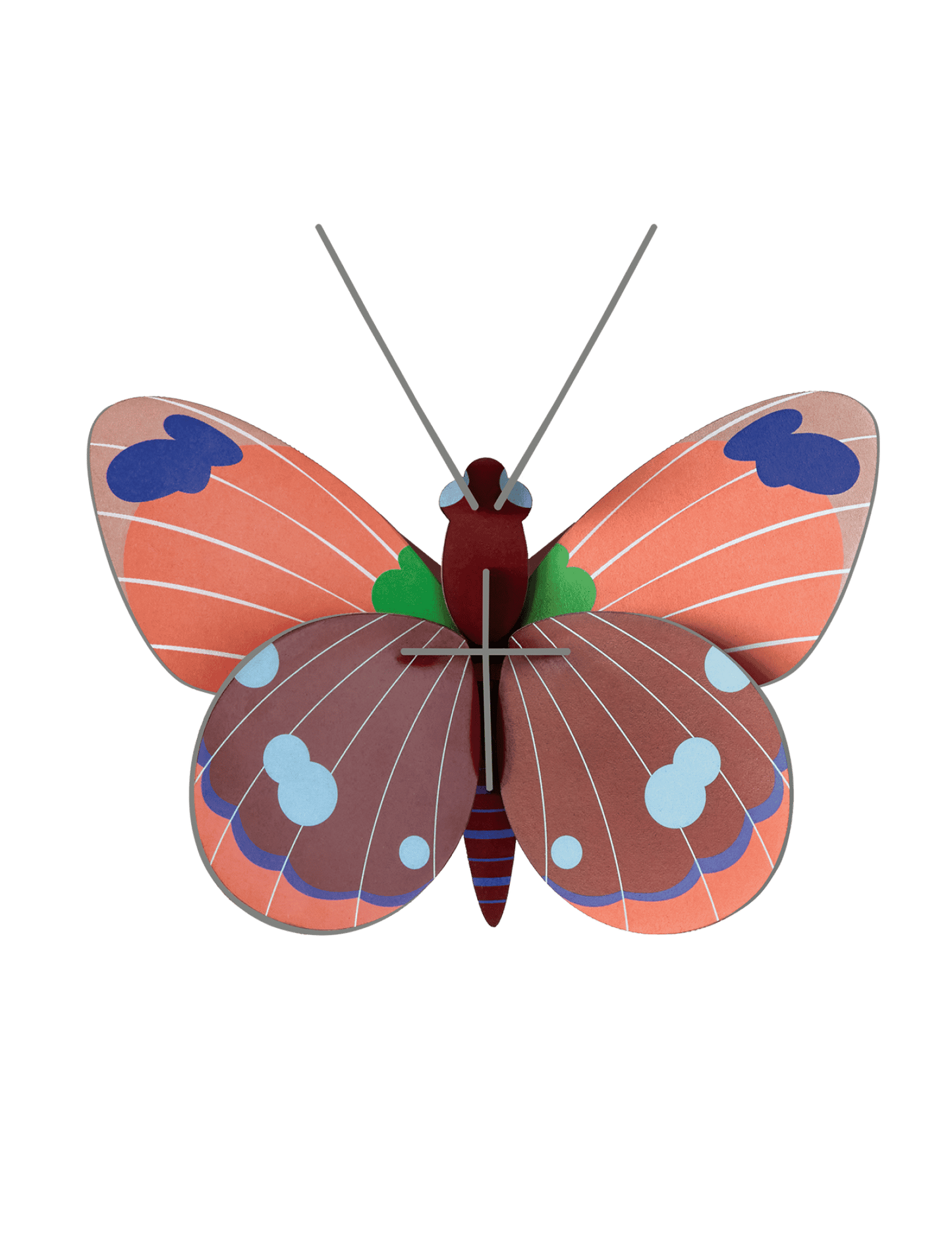 Delias Wall Butterfly