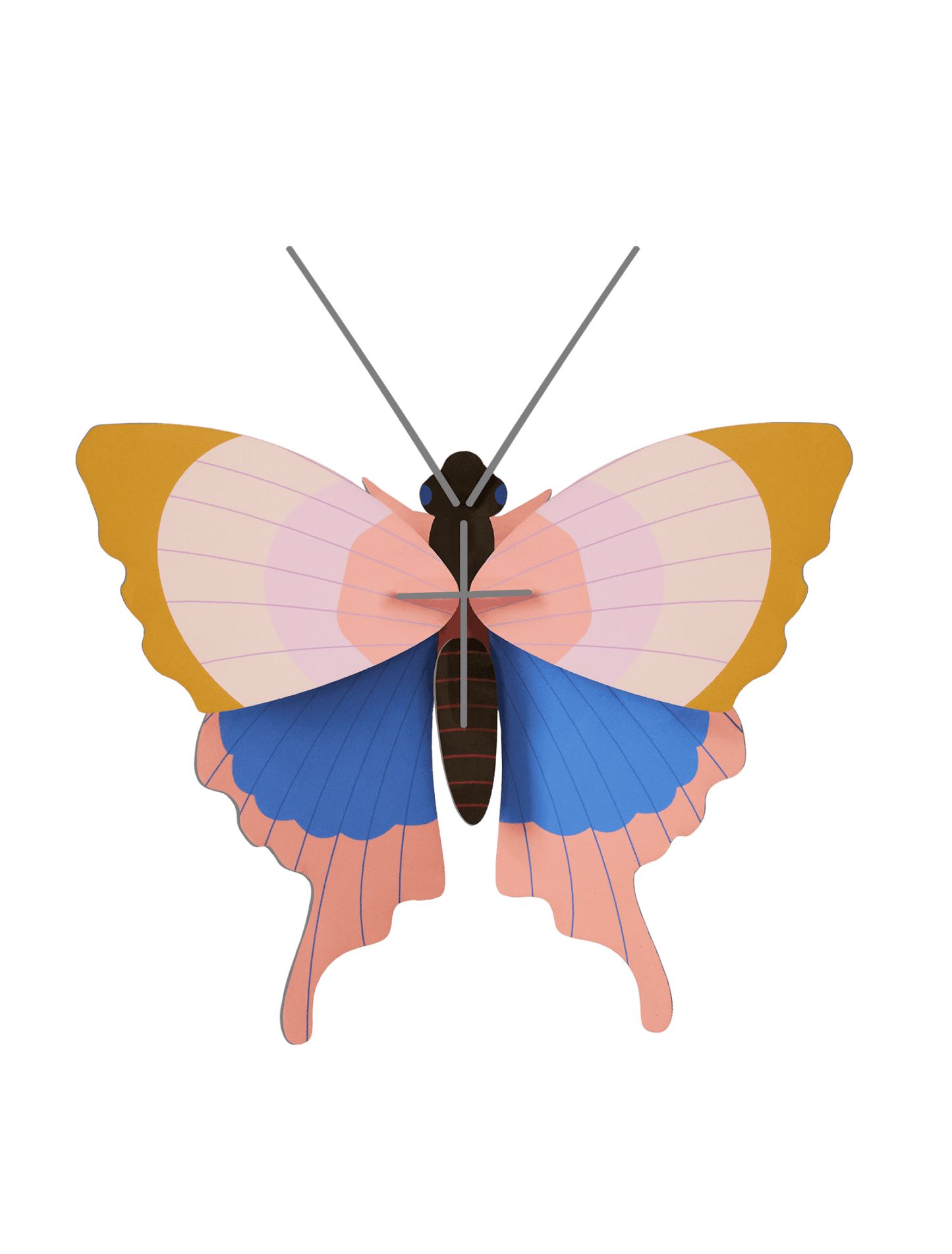 Gold Rim Wall Butterfly