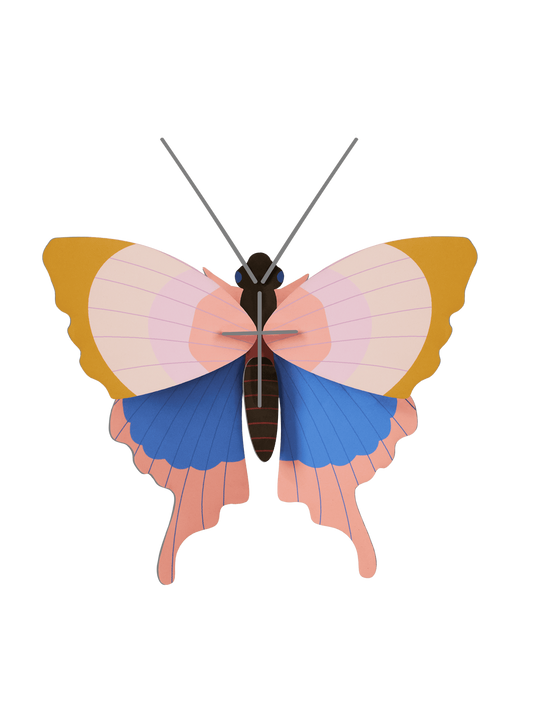 Gold Rim Wall Butterfly