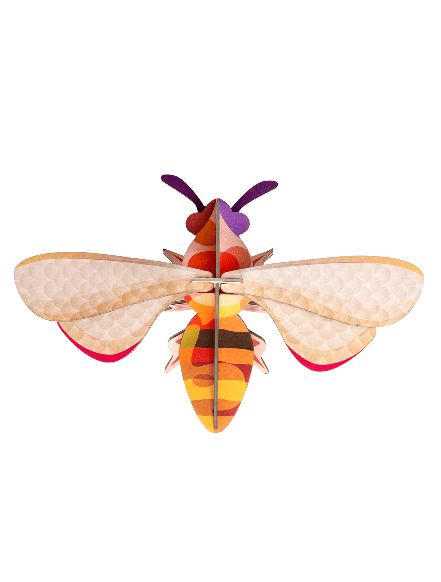 Honey Bee Wall Insect