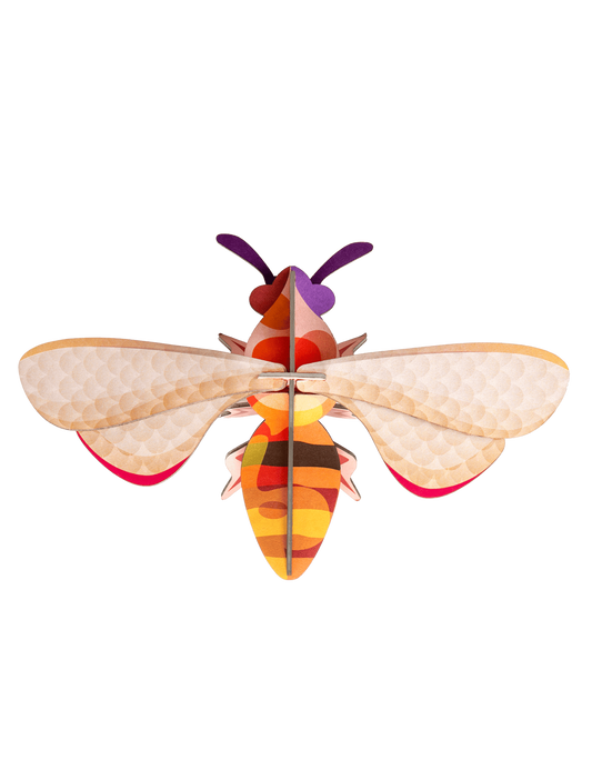 Honey Bee Wall Insect