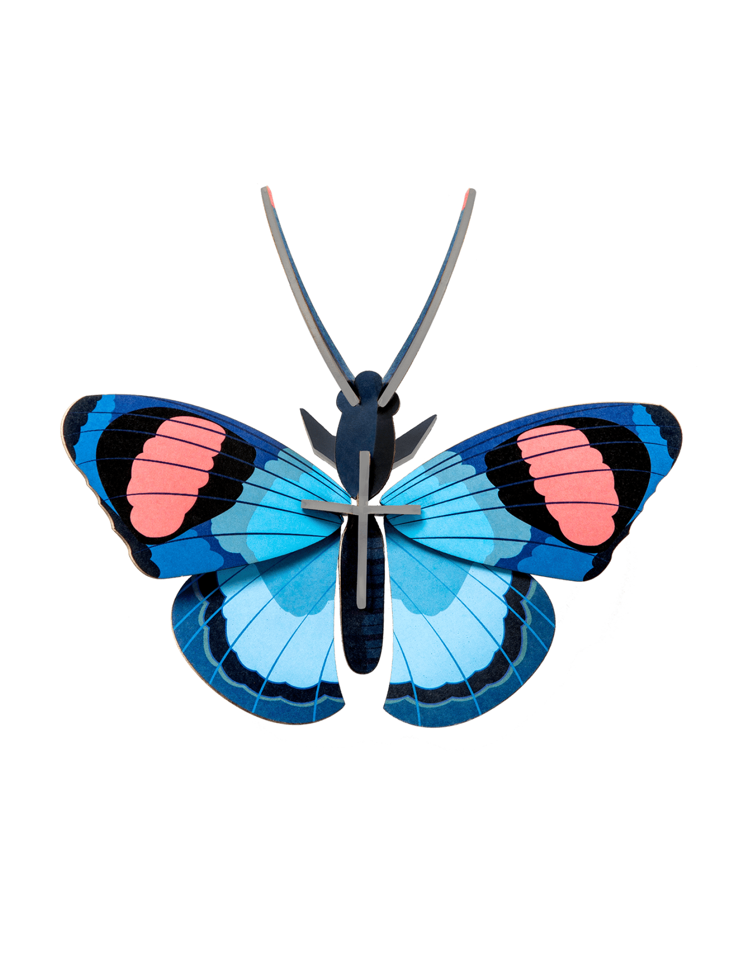 Peacock Wall Butterfly