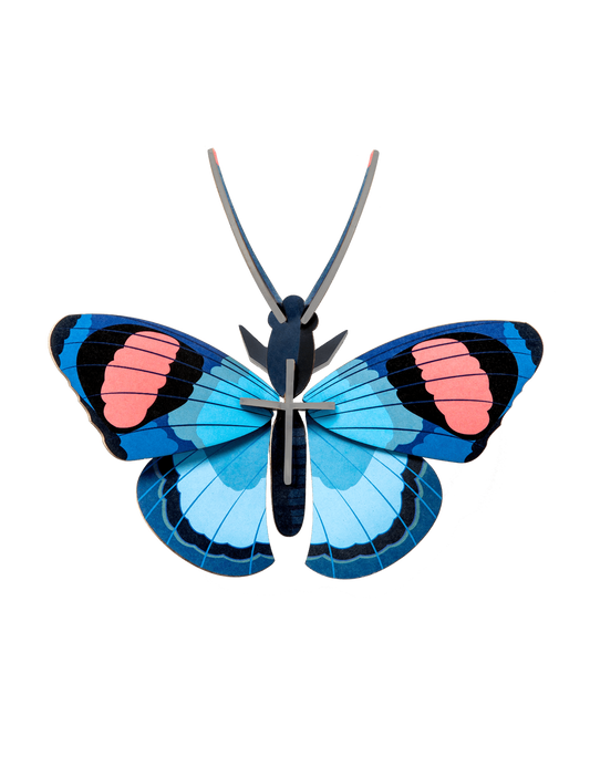 Peacock Wall Butterfly