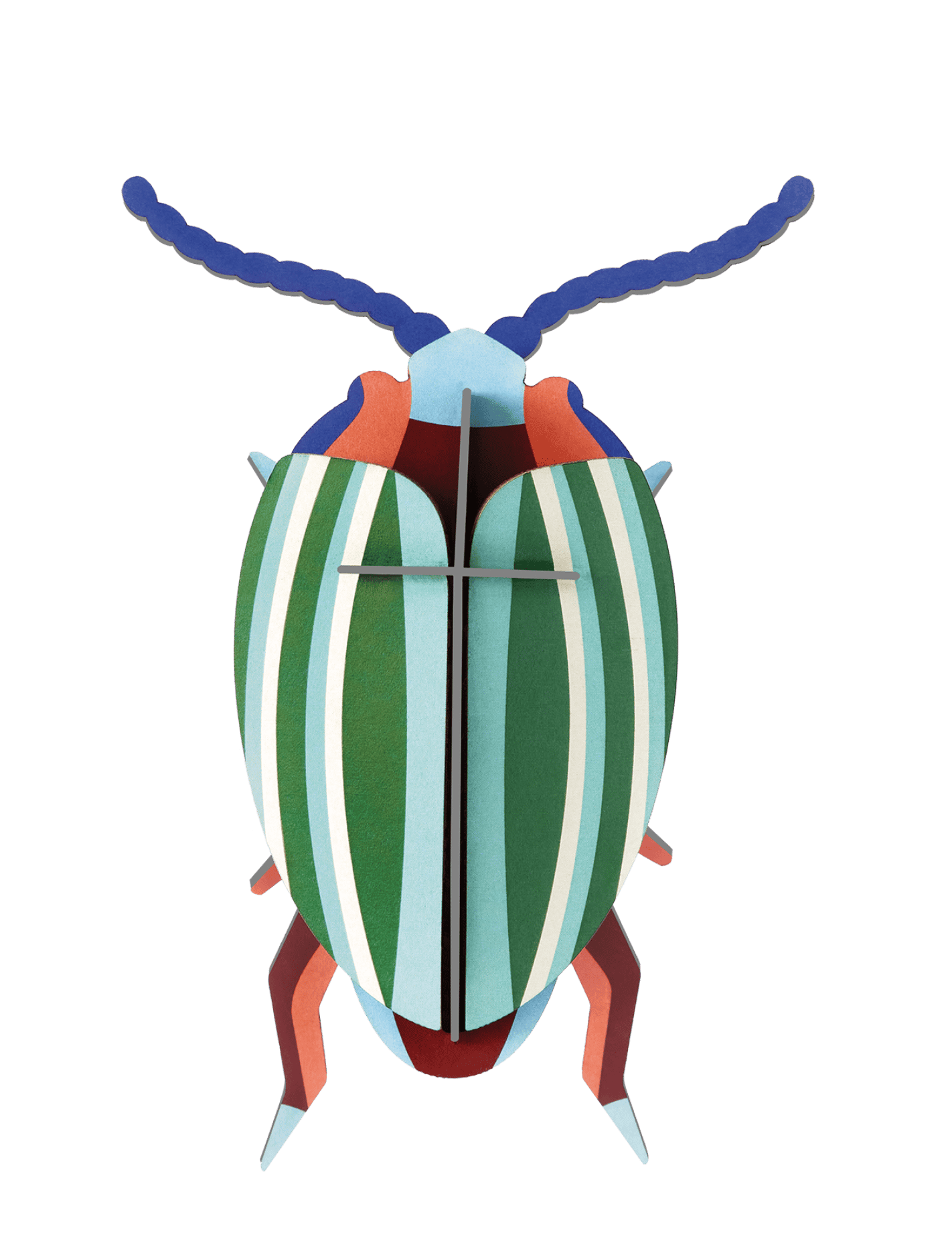 Rainbow Leaf Wall Beetle