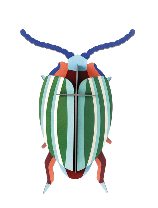 Rainbow Leaf Wall Beetle