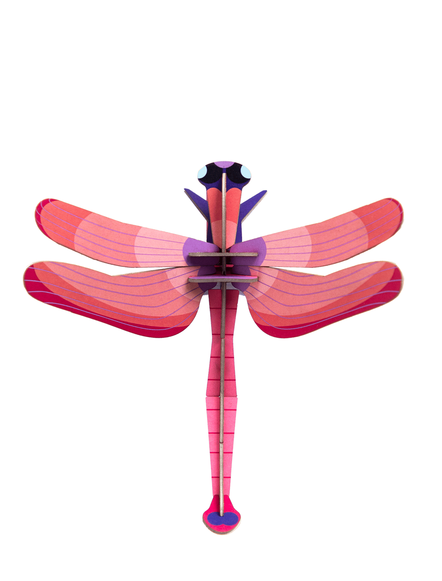 Ruby Wall Dragonfly