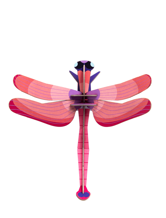 Ruby Wall Dragonfly