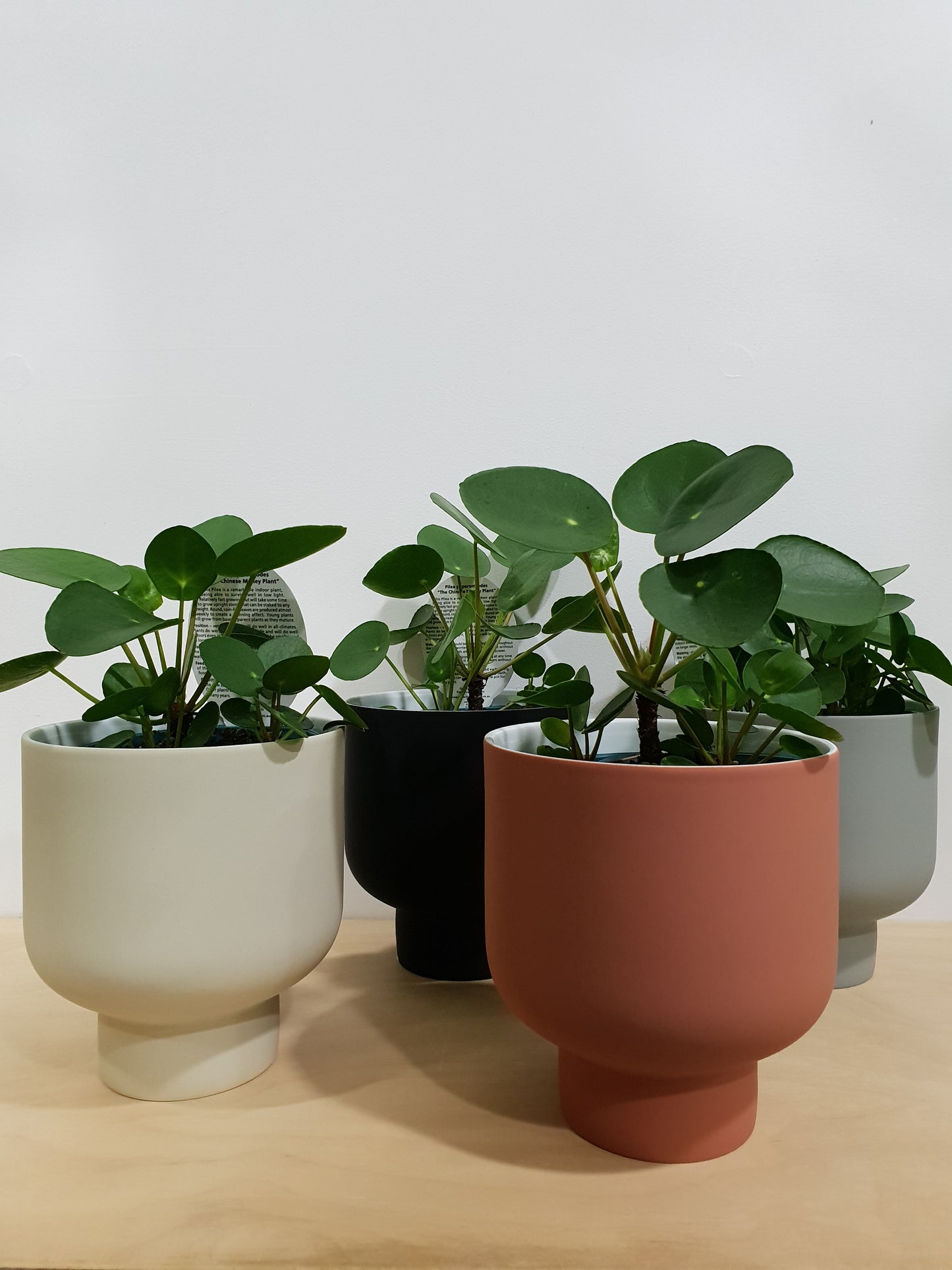 Fergus Ceramic Planter Navy