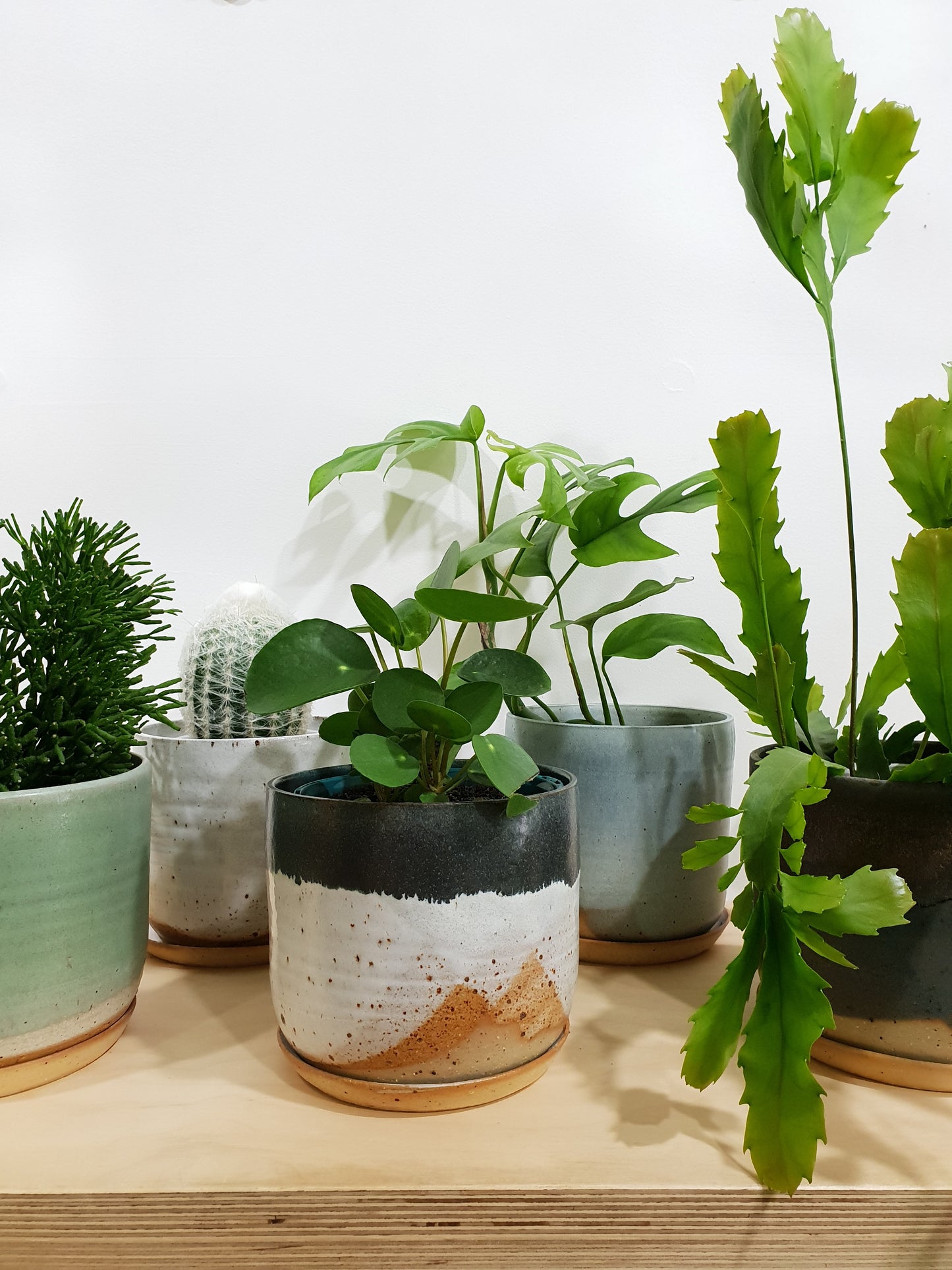 Garden Moss Stoneware Planter + Saucer Medium