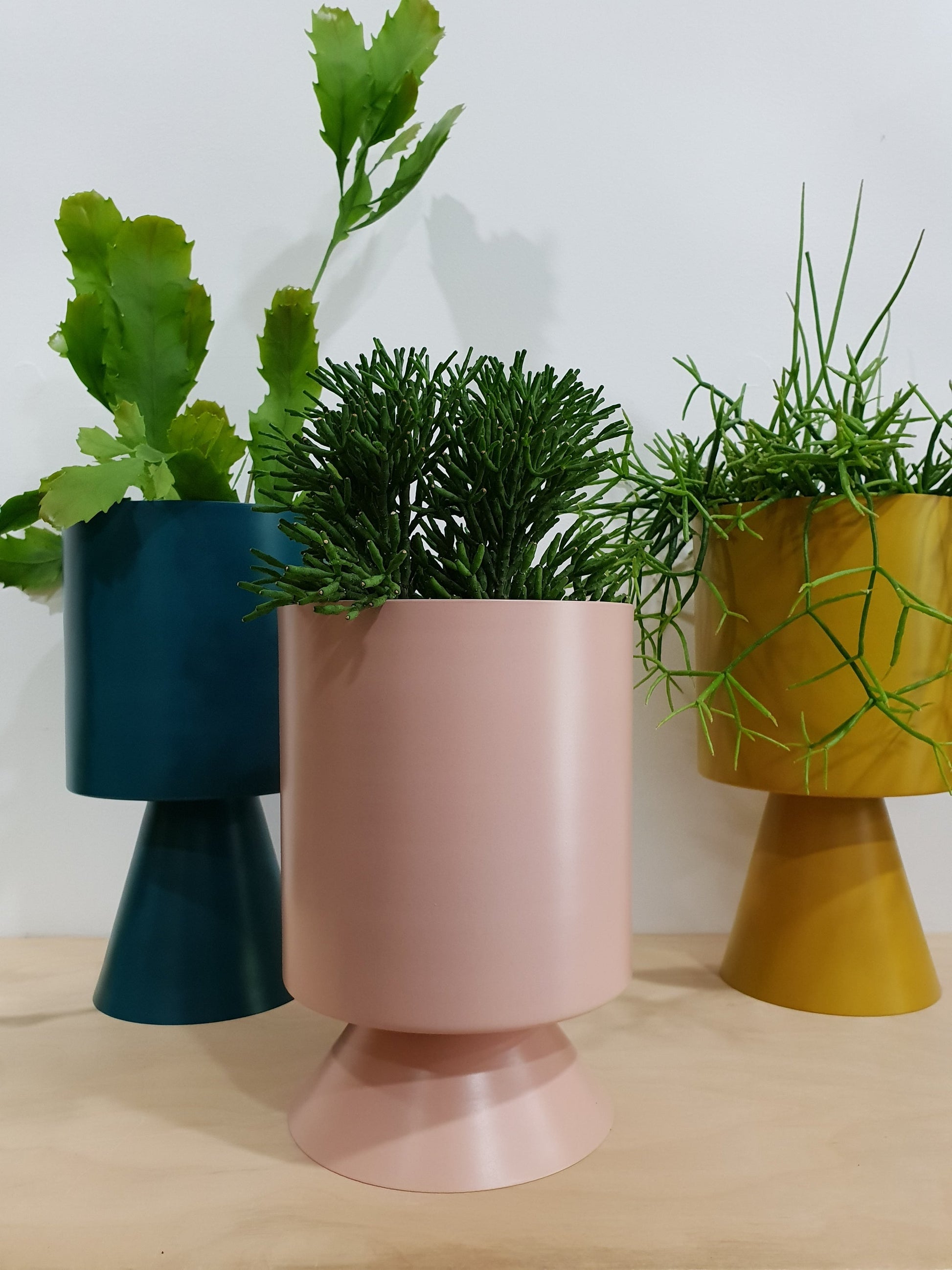 palm springs planter Sunset Palm Springs Planter Medium – Plant Space au