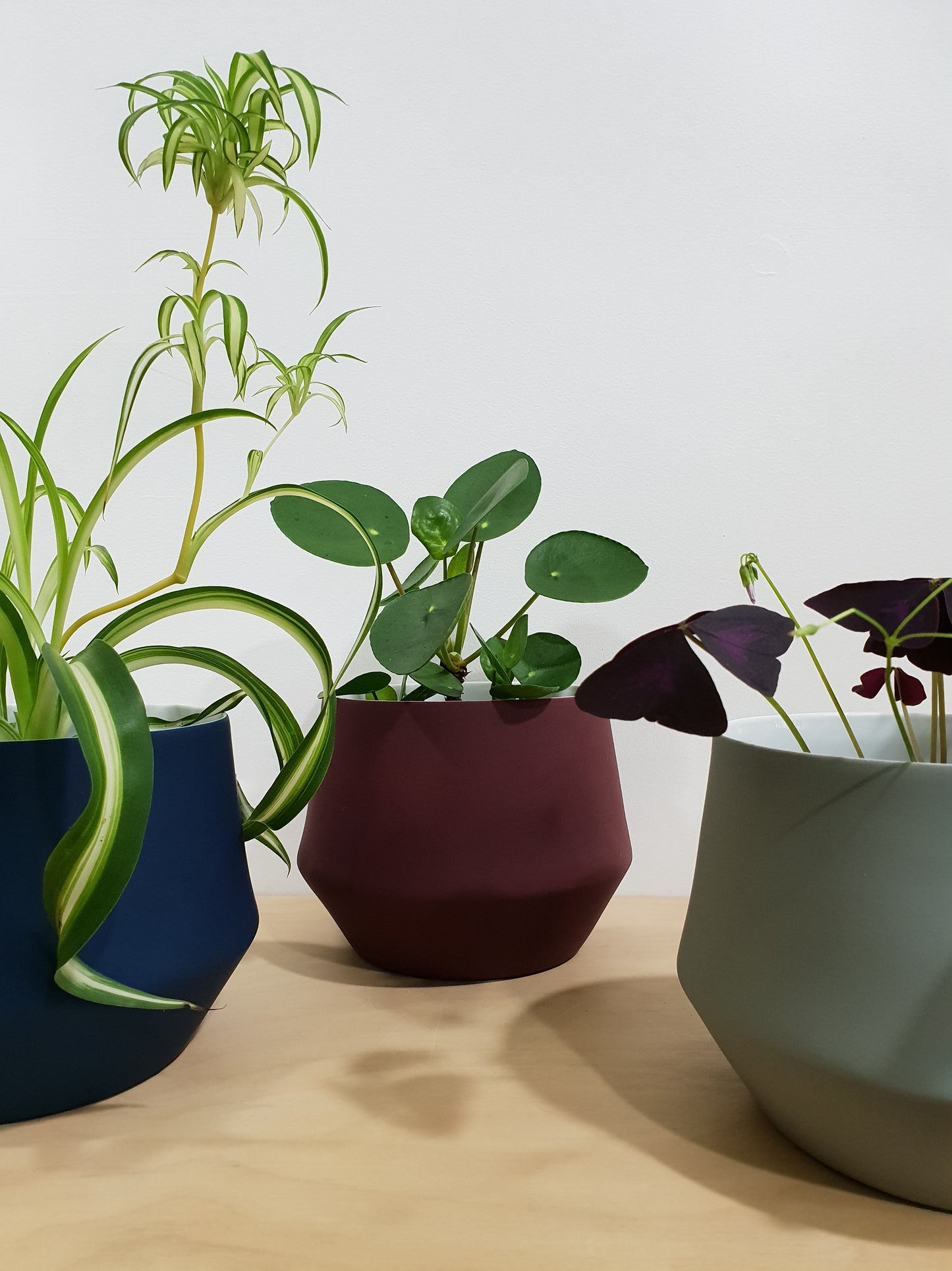 Ceramic Planter Wine