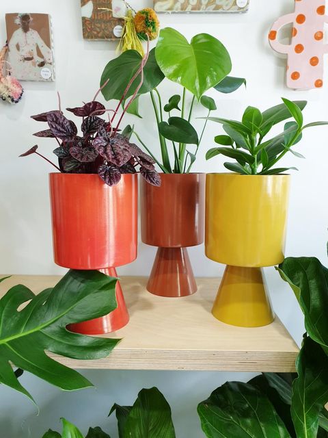 White Palm Springs Planter Medium