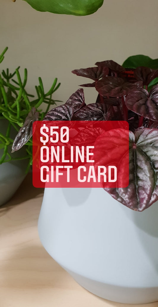 Plant Space Gift Card