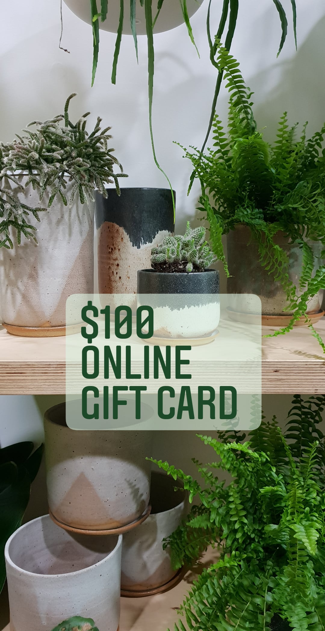 Plant Space Gift Card